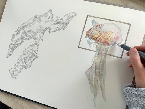 Teckning/akvarell av vattenlevande fantasidjur liknande en manet. 