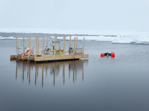 The floating aerosol chamber and the bubble camera making measurements in a patch of open water