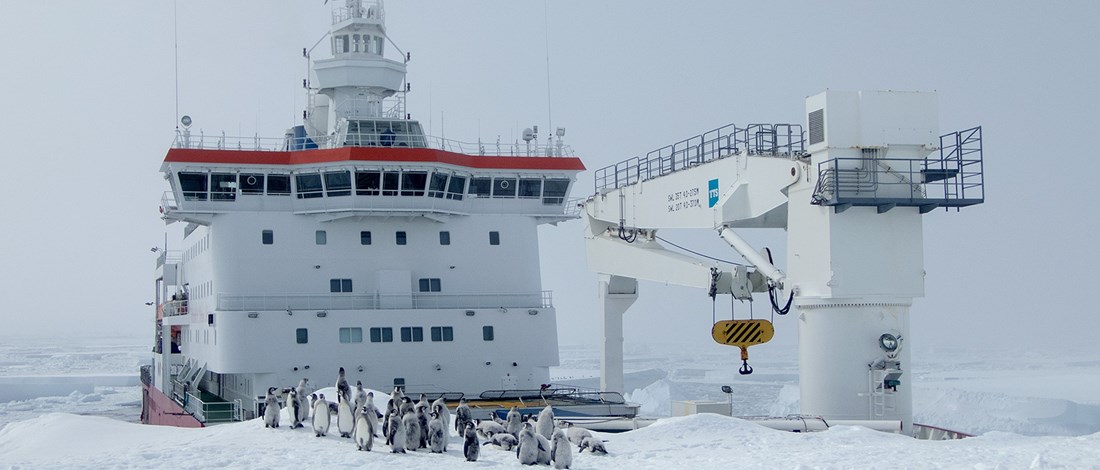 Antarktisstation rensas och utrustas för kommande fältsäsonger