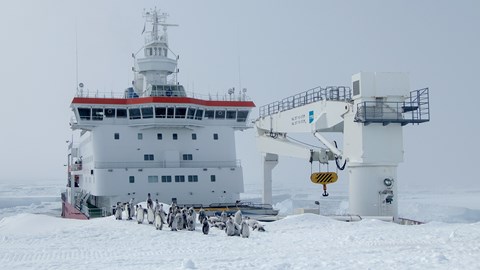 Antarktisstation rensas och utrustas för kommande fältsäsonger