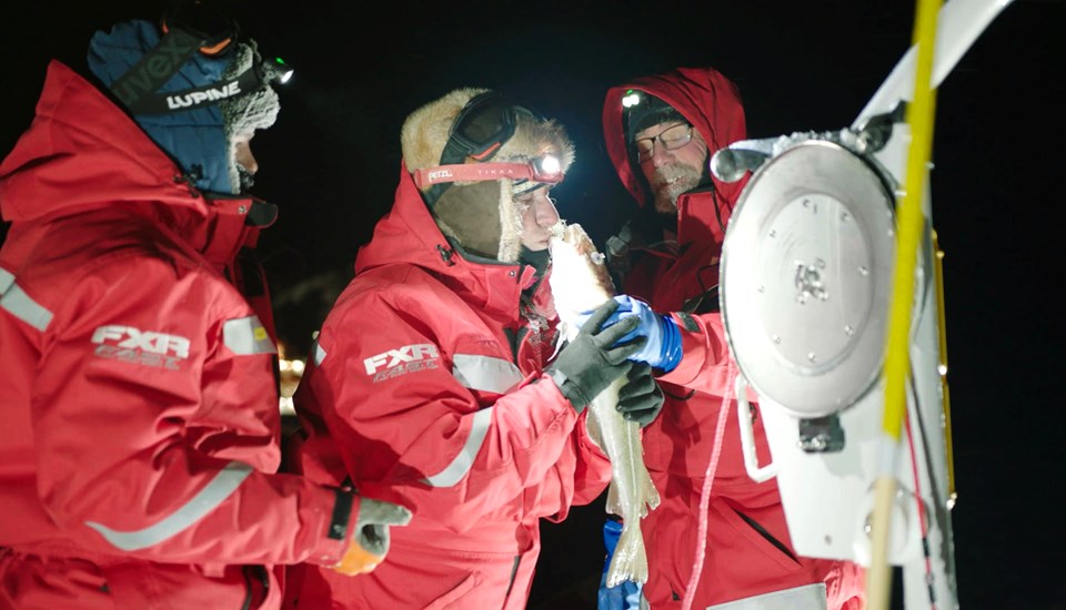 P1-dokumentär om världens största polarexpedition