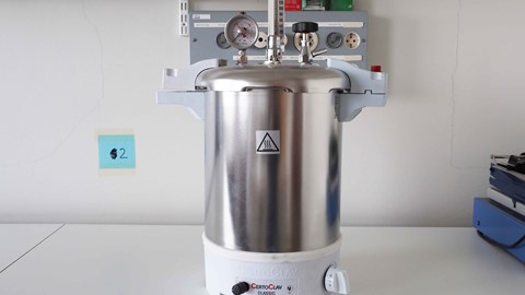 P4110540 Web