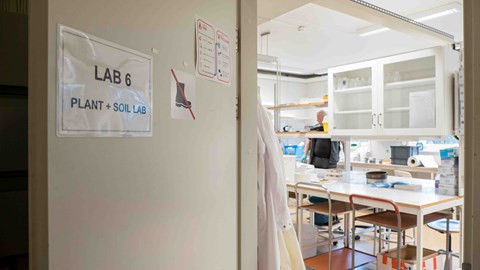 Laboratorium 6 - för arbeten med jord och växter