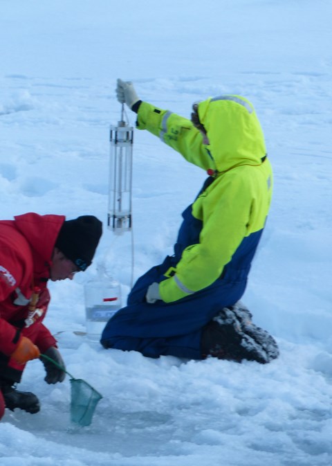 Dennis Amnebrink tar prov på vatten från gränssnittet mellan isen och havet i Norra ishavet för att studera bakteriers och arkeérs ekologi