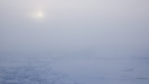 Vad består arktiska moln och aerosoler av?