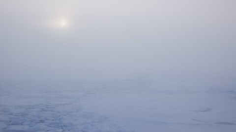 Vad består arktiska moln och aerosoler av?
