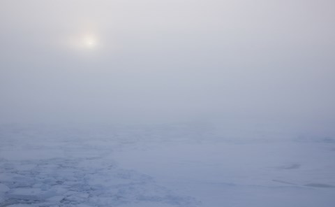 Arctic shallow fog on September 6, 2018.