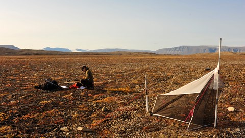 Fredrik Dalerum 2