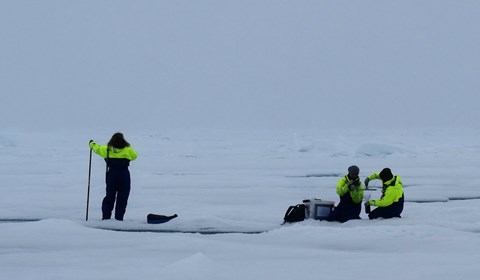 Claudia Morys och Janina Rahlff (höger) tar prover på havsytans mikrolager (översta millimetern) från en smältdamm med hjälp av glasskiva medan Maria Samuelsson (vänster) håller utkik efter isbjörnar.