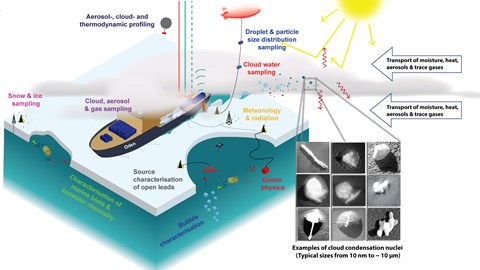 Could marine microorganisms in the clouds slow down the melting of Arctic ice?