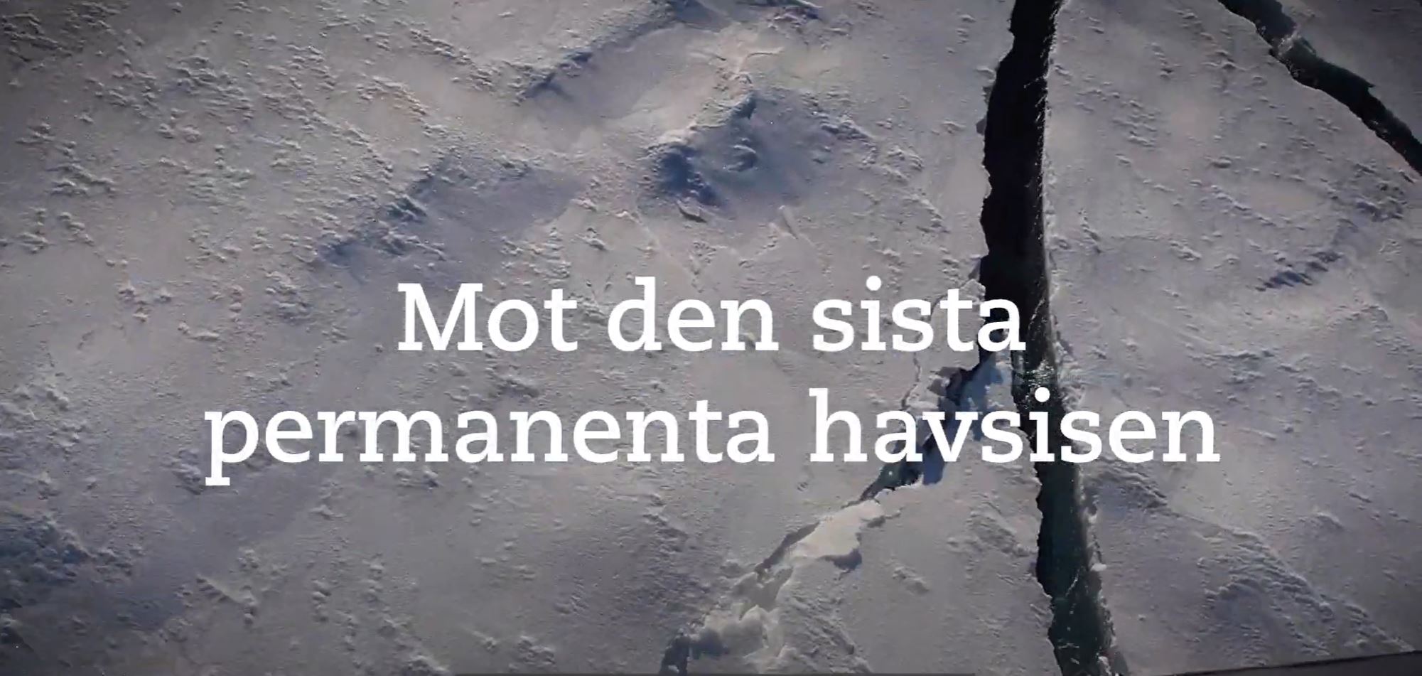 Synoptic Arctic Survey 2021 - Polarforskningssekretariatet