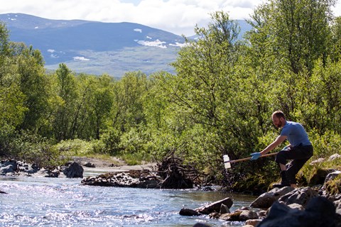Niklas Rakos collects water samples from Miellejohka