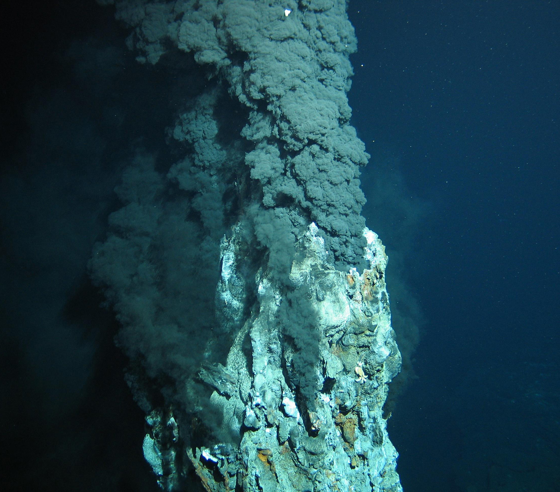 An active hydrothermal vent on the seafloor