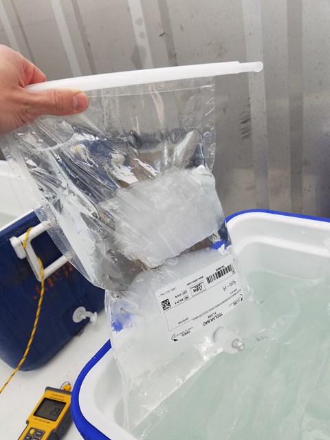 Iskärnebitar förpackas tillsammans med havsvatten med olika koldioxidhalt och förvaras kallt i fartygets labb (–1,8 °C).