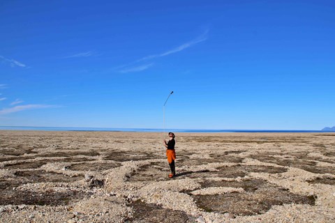 Person standing on a plain with a long stick-like instrument.