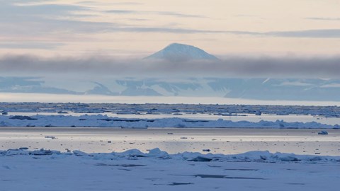 Webbinarium: Expedition till norra Grönland 2024