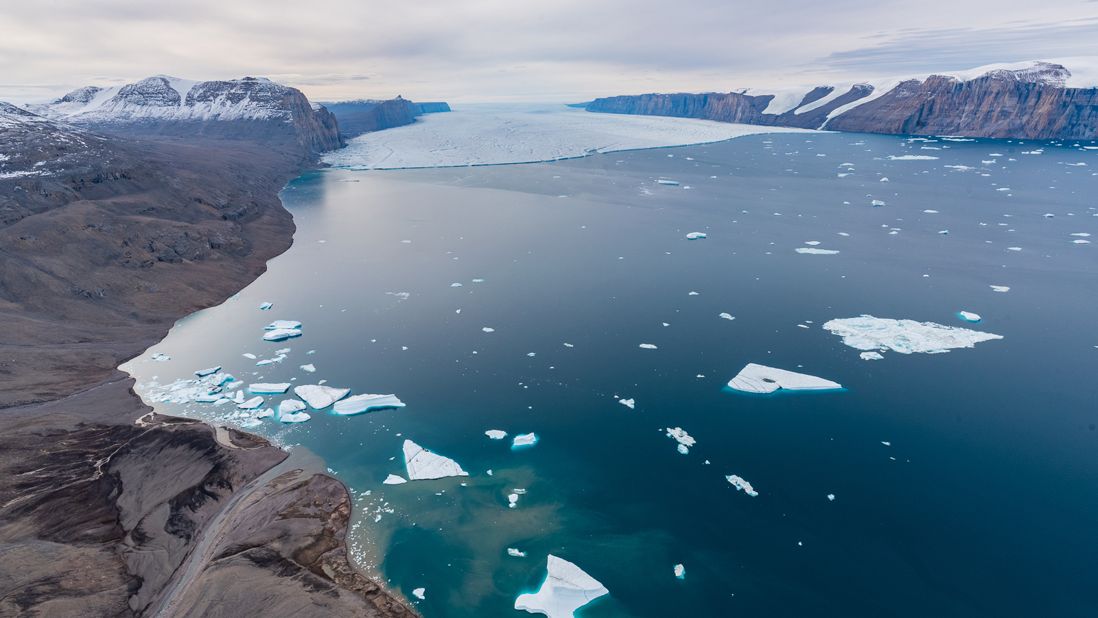 Glaciärtunga Ryder 2019