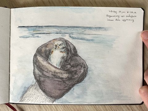 En död fågel i en svart påse