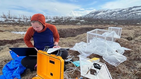 SITES News Abisko 20220829 Pic3