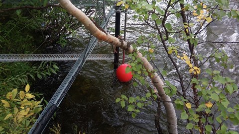 SITES News Abisko 20220829 Pic5