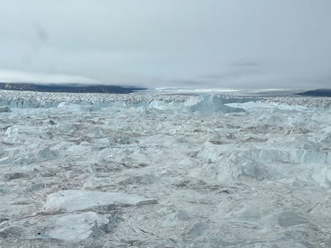 C.H. Ostenfeld glaciärfront