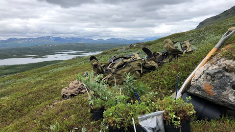SITES News Abisko 20220829 Pic1