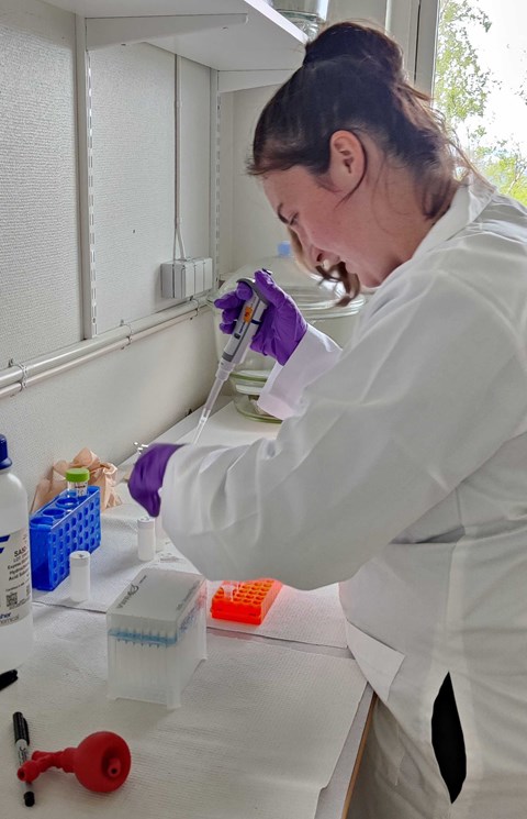 En kvinna arbetar i en vit rock i labbet.