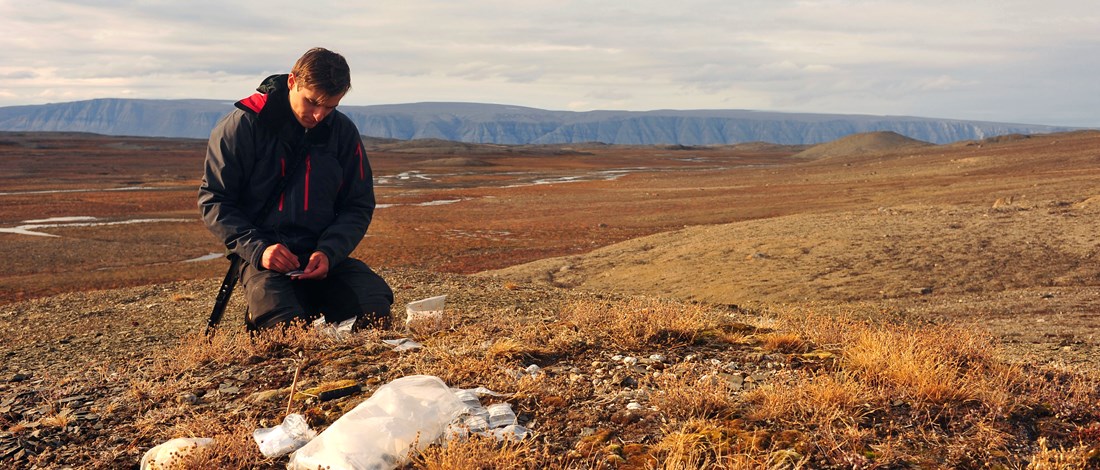 Field work in the Arctic on the impact of climate on plants and animals