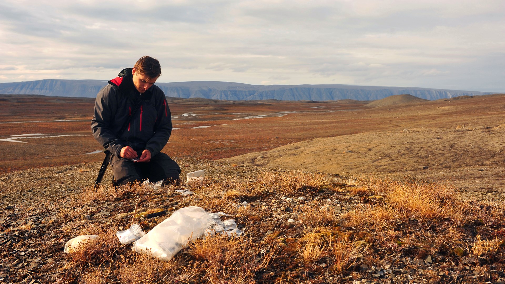 Field work in the Arctic on the impact of climate on plants and animals -  Swedish polar research secretariat