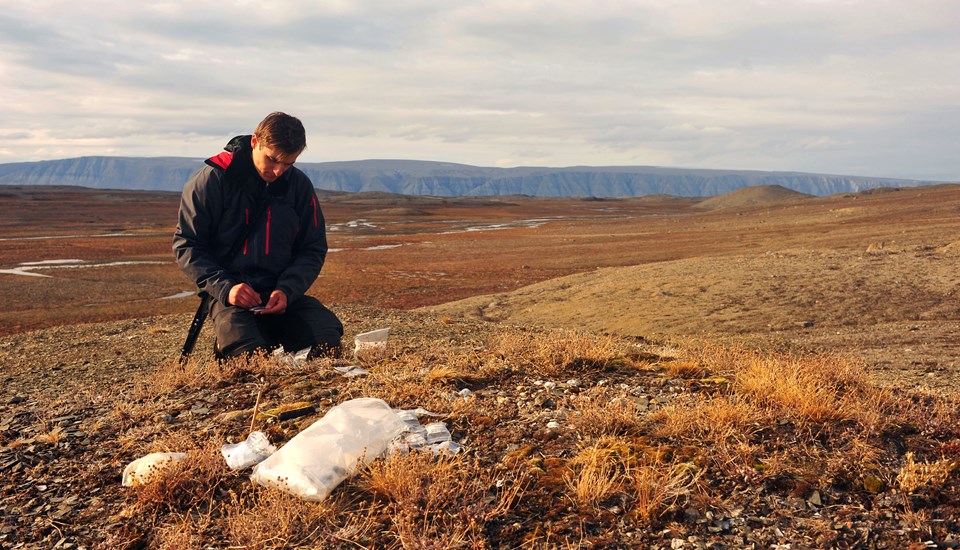 Fältarbete i Arktis om klimatets påverkan på växter och djur