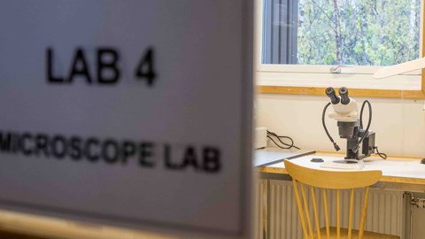 Laboratorium 4 och 5 - för mikroskopering