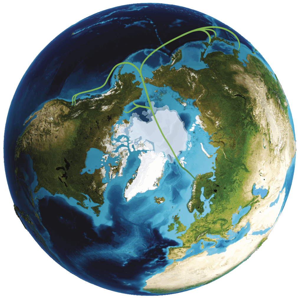 Polar Connect
