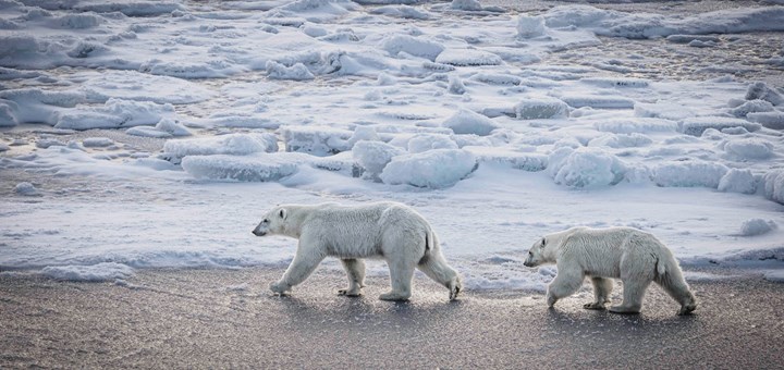 When the ocean closes – the onset of the frozen season