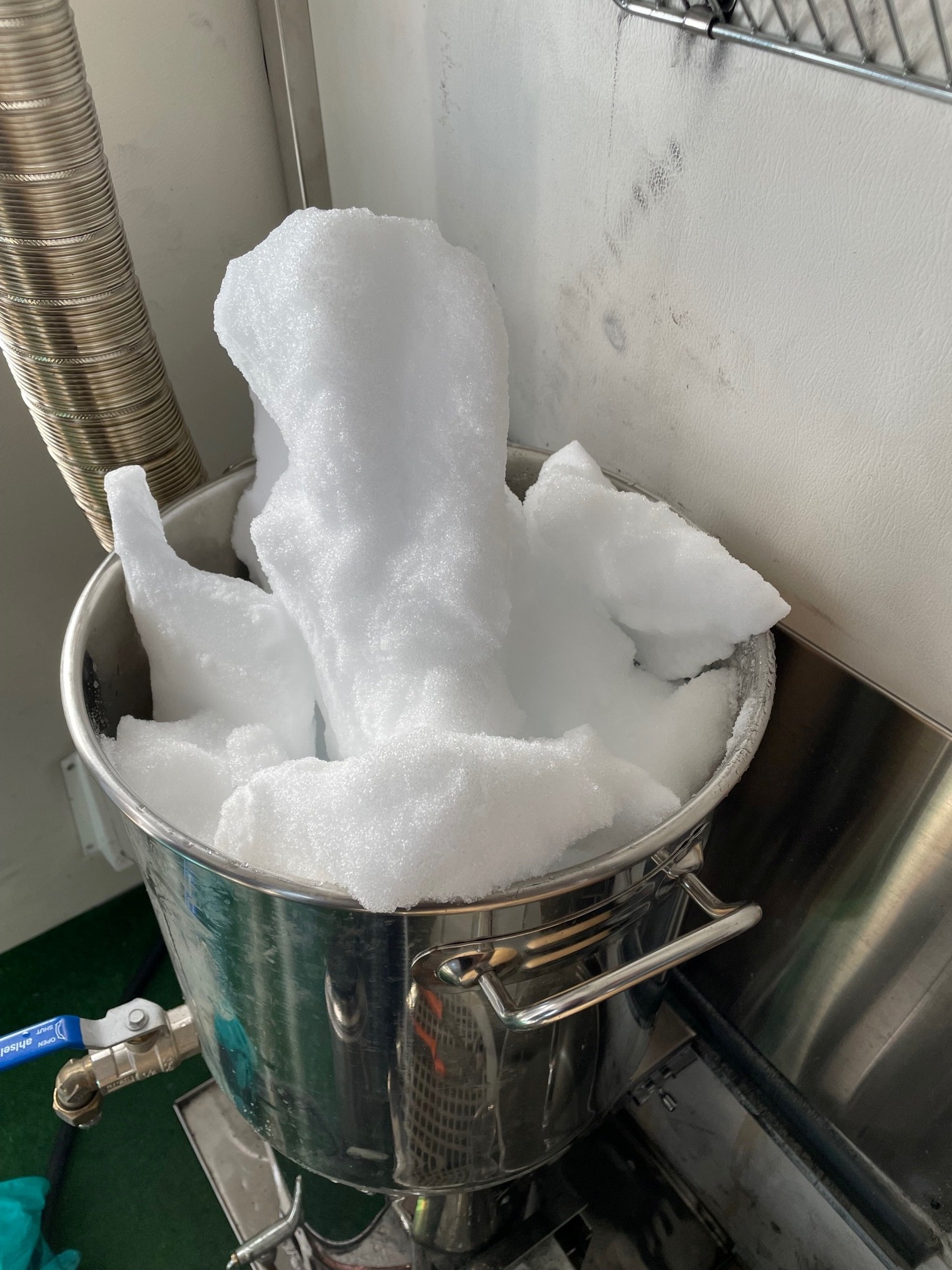 Smältning av snöprover