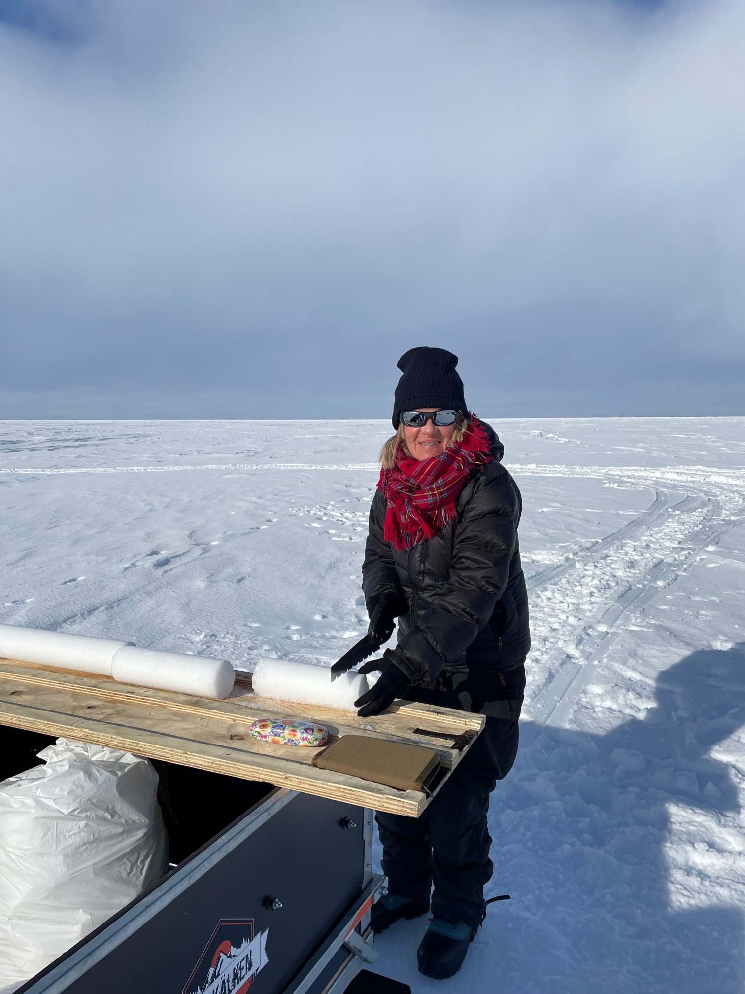 Uppdelning av snökärnor i Antarktis