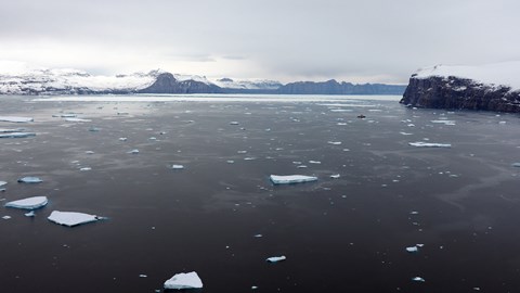 Regeringen undersöker möjligheterna för ett nytt polarforskningsfartyg