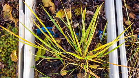 P9270097 Web