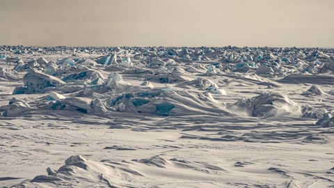Deformed Sea Ice Aom