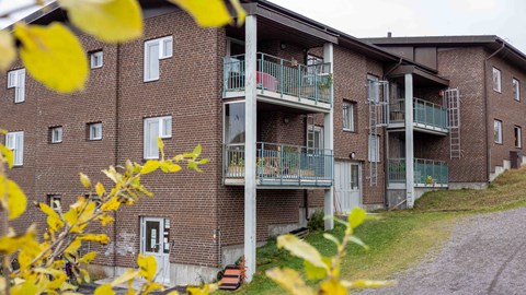 Bo i D-huset