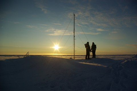 Polar bear guards by the micrometeorology mast