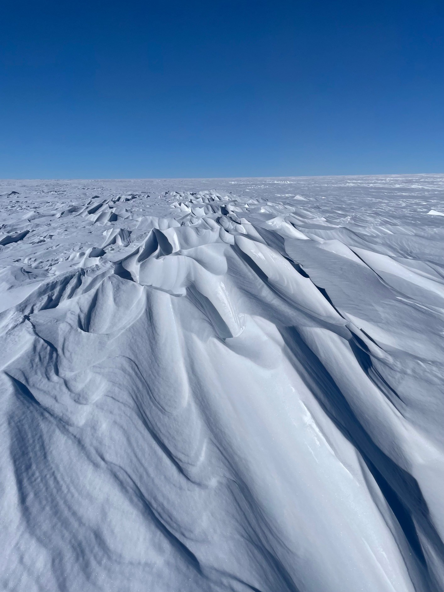 Sastrugi, , d.v.s. vindformade snö- och isryggar som bildas när hård vind eroderar och omformar snöytan