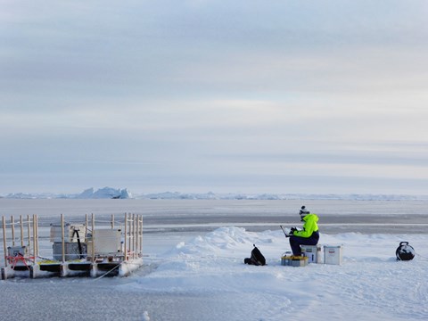 Matt Salter checking data from the floating aerosol chamber, on one of our last days at the site