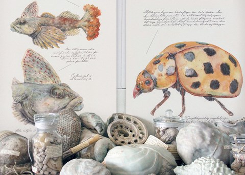 From the work "Jonas Flack - observations of a rejected explorer". 2019–2021. Ceramics, glass objects, drawing. Watercolor study of mutated stone simp and twenty-two-spotted ladybird.