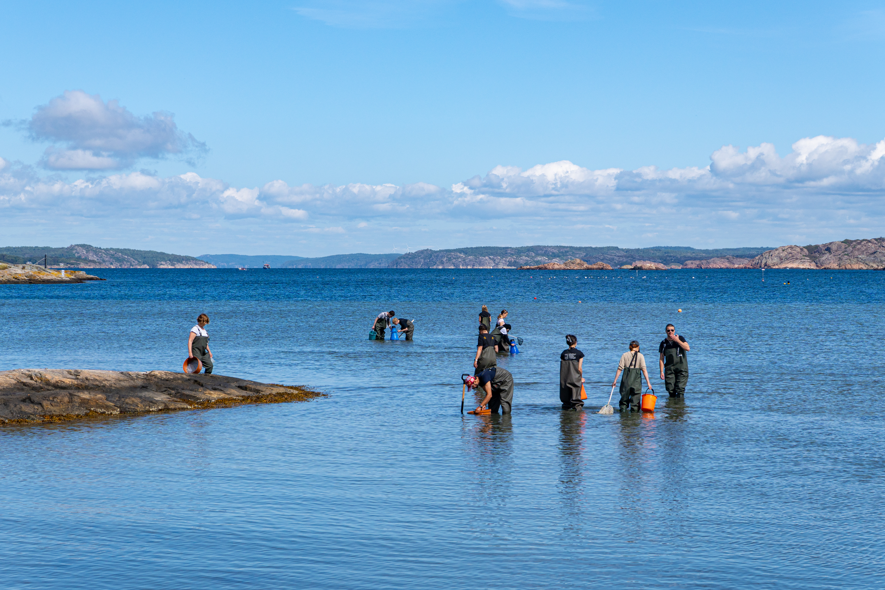 Skola och allmänhet