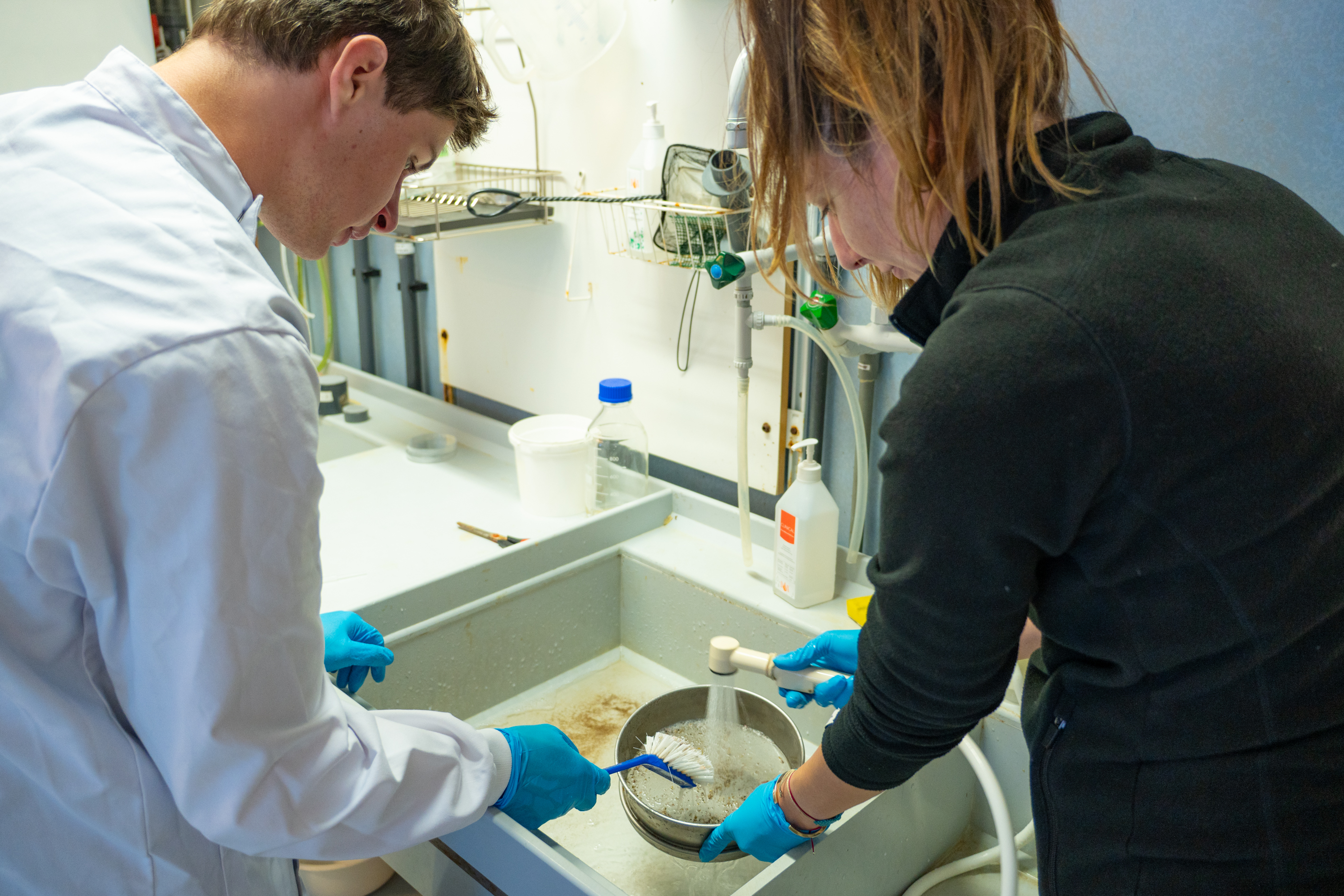 Vetenskapliga publikationer