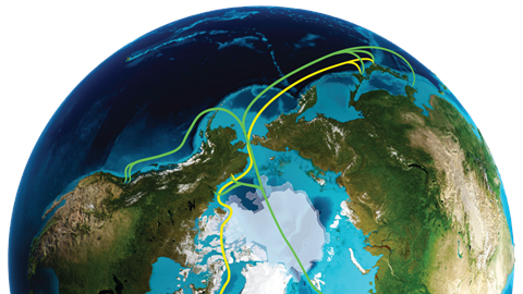 Polar Connect