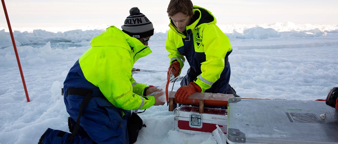 How are sea-ice microorganisms affected by ocean acidification?