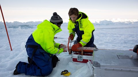 How are sea-ice microorganisms affected by ocean acidification?