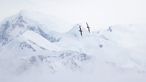 Polar Researchers in Sweden